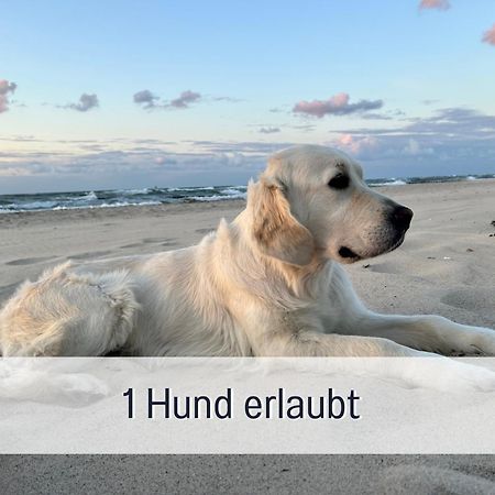 3 Zimmer App Duenengarten Fewo 58 Ostseebad Kühlungsborn エクステリア 写真