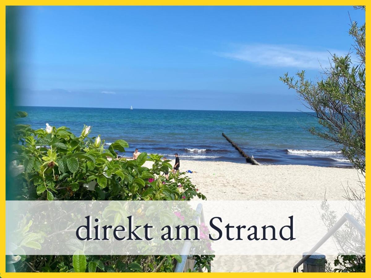 3 Zimmer App Duenengarten Fewo 58 Ostseebad Kühlungsborn エクステリア 写真