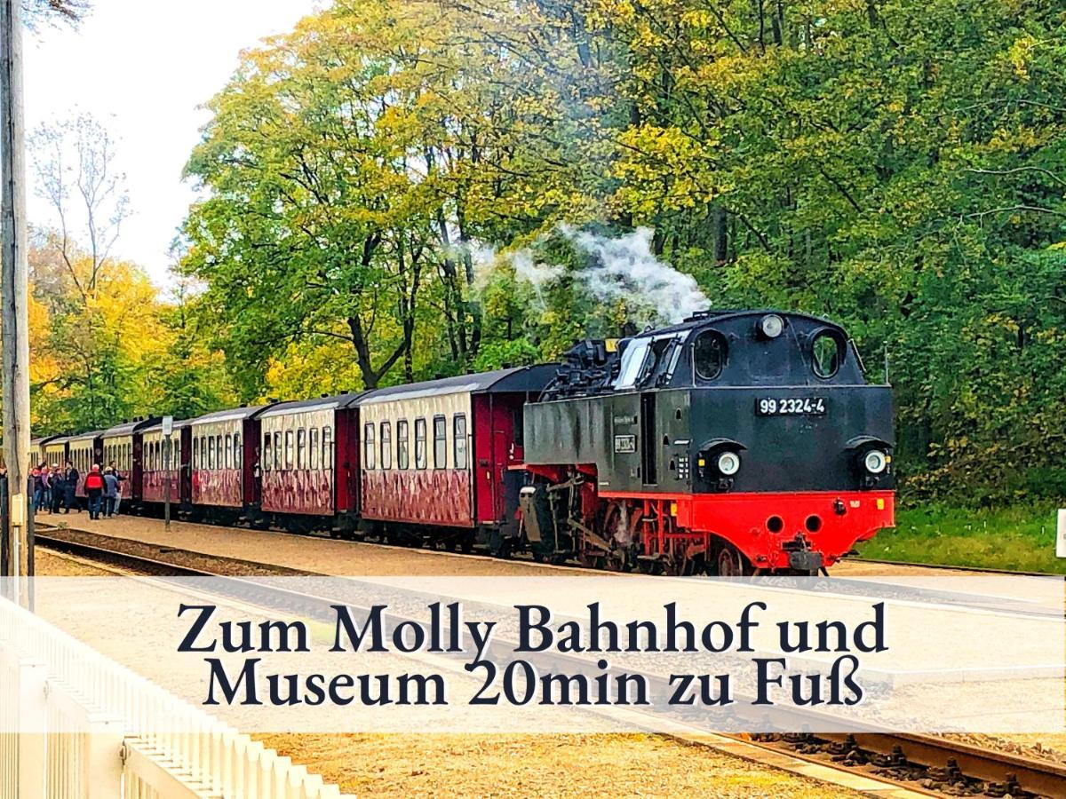 3 Zimmer App Duenengarten Fewo 58 Ostseebad Kühlungsborn エクステリア 写真