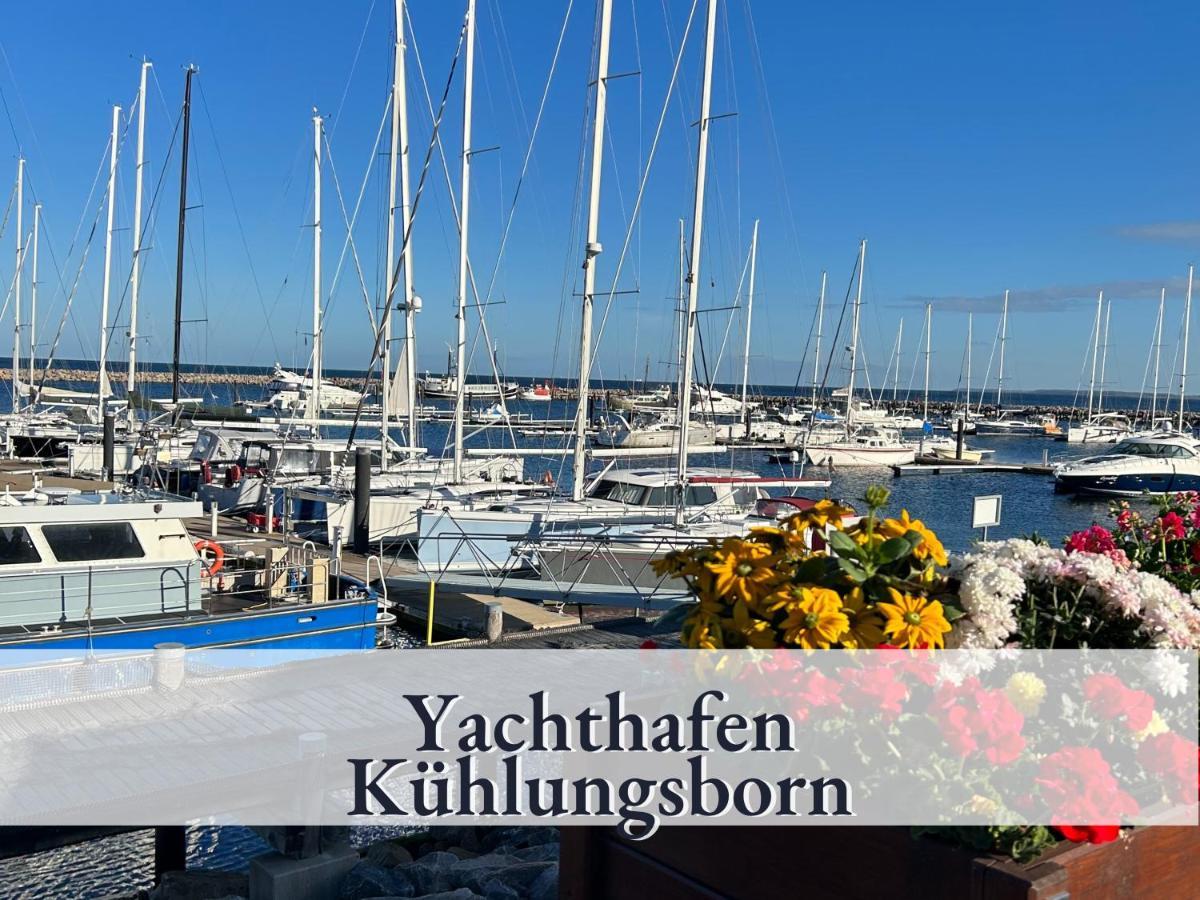 3 Zimmer App Duenengarten Fewo 58 Ostseebad Kühlungsborn エクステリア 写真