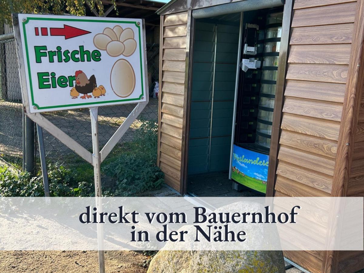 3 Zimmer App Duenengarten Fewo 58 Ostseebad Kühlungsborn エクステリア 写真